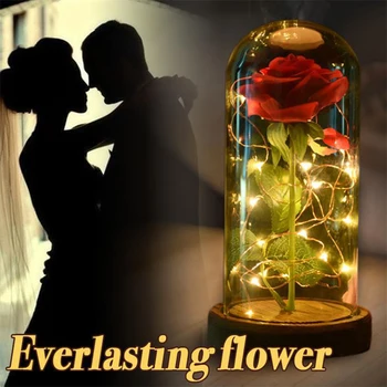 Eternal Rose Puķu Stikla Vāks Skaistums un Zvērs LED Akumulatora Lampa, Kāzas, Dzimšanas dienas, Valentīna Partijas Apdare Ziemassvētku Dāvanu