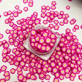20g 5mm Sirds Tiny Ziedu Šķēles Gļotas Piederumi Nagu Mākslas Polimēra Skaidrs, Māla Piederumi DIY Vizuļi Albums Satricina