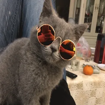 Ir 2021. Jauki Gudrs Kaķis, Suns Brilles Pet Fashion Apdare Piederumu Acu valkāt Aizsardzības Saulesbrilles Fotogrāfijas Mājdzīvnieku Piederumi