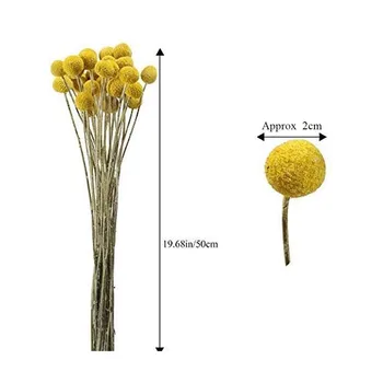 30pcs Žāvēti Craspedia sausie Ziedi Billy Pogu, Bumbas, Mākslīgie Ziedi Viltus Zīda Dzelteno Ziedu Dekori Telpu Dekorēšana